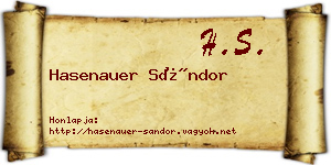 Hasenauer Sándor névjegykártya