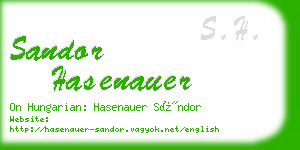 sandor hasenauer business card